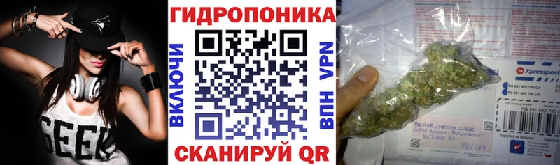 Купить закладки  Куровское  Канабис Bruce Banner 